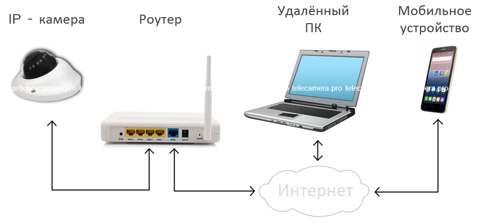 Твой сетевичок