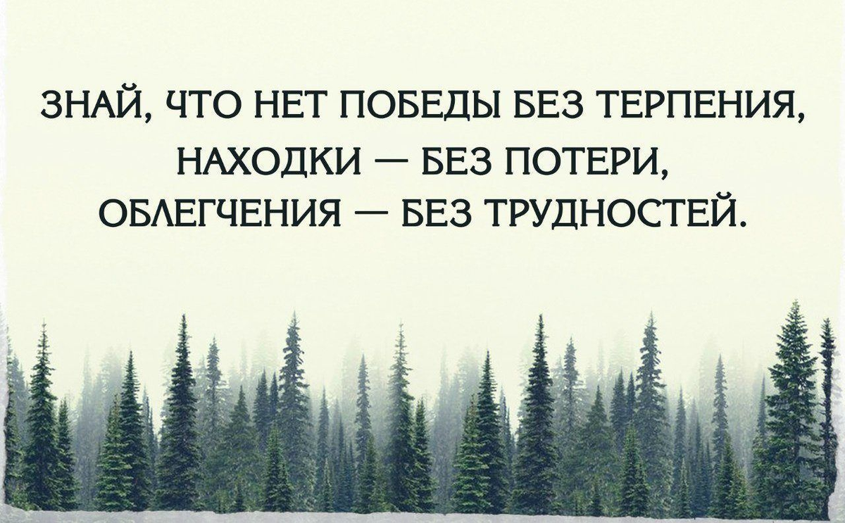 Топ рейтинг бюджетных телефонов 2023 года цена-качество