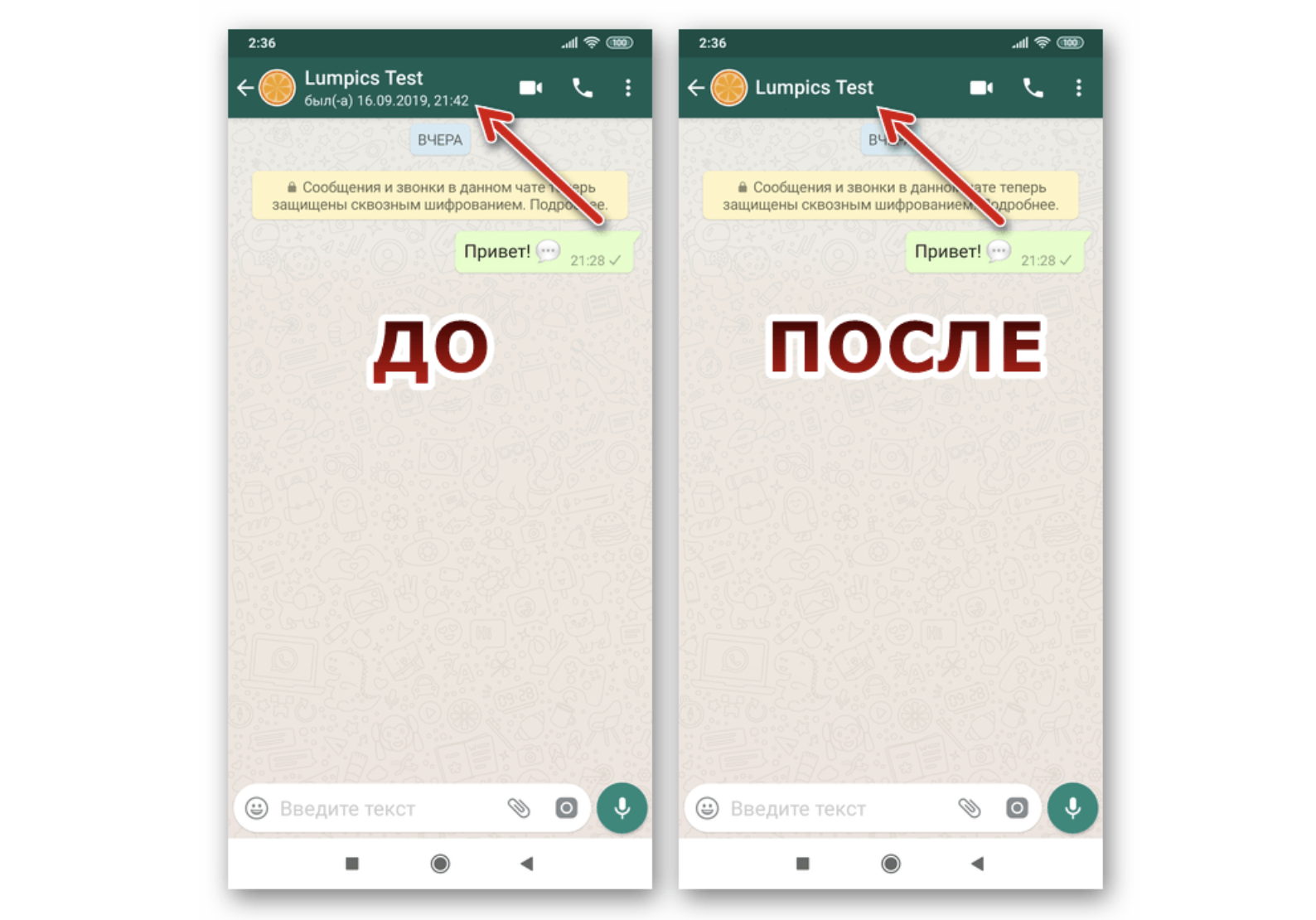 Как в wats up скрыть время посещения. скрытые контакты в whatsapp