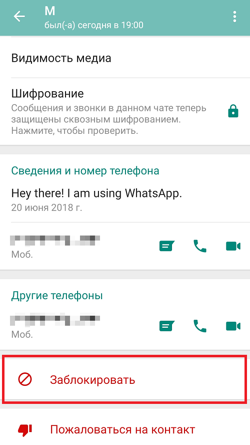 Как заблокировать контакт в ватсапе: можно ли и как это сделать со своего телефона андроид или айфон, чтобы человек не писал