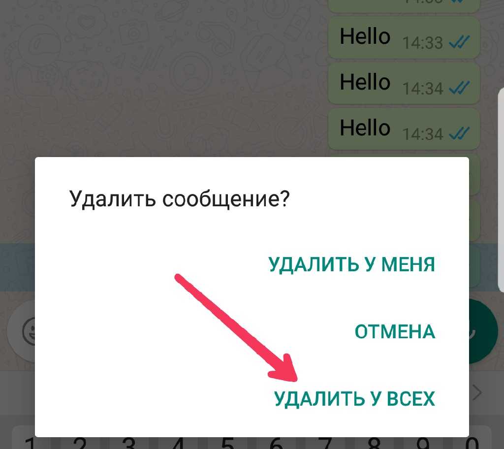 Как удалить сообщения в whatsapp на обоих устройствах