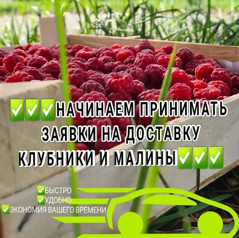 Номера телефонов +2 — чей код и кто может звонить?