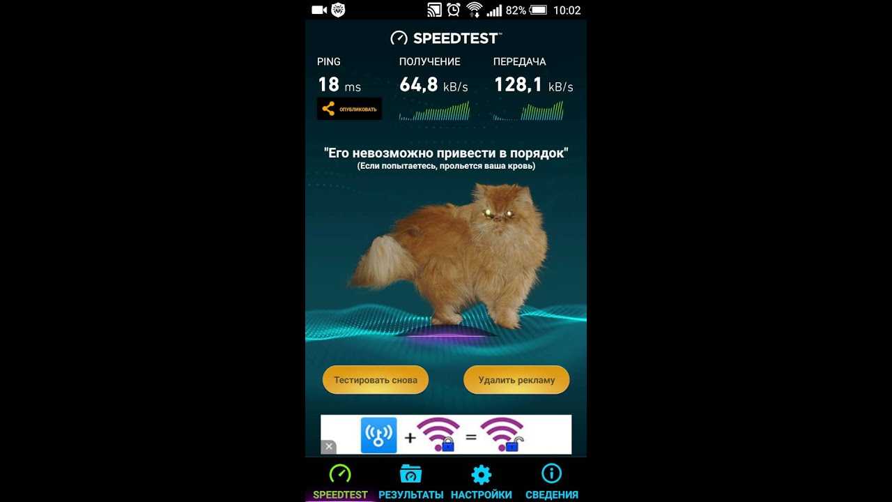Пасхальные яйца android: лучшее программное обеспечение, которое удивляет уже многие годы