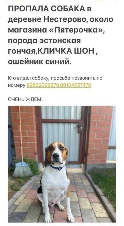 Как написать самому себе сообщение в вк