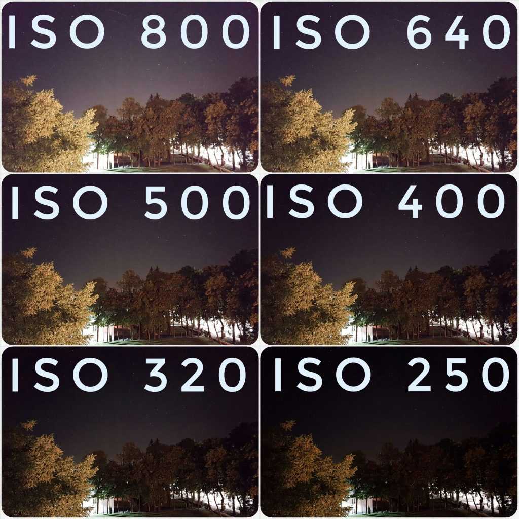 Светочувствительность. подробно про iso для начинающих / съёмка для начинающих / уроки фотографии