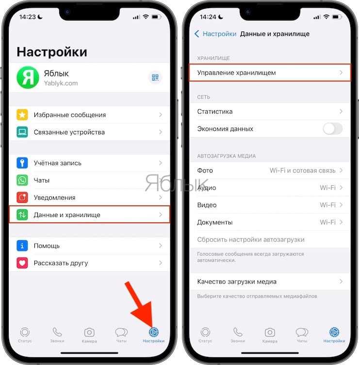 Как почистить ватсап и освободить место, советы по чистке whatsapp
