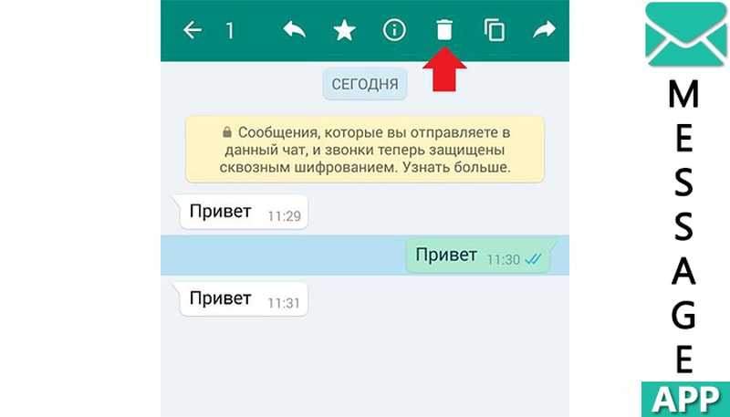 Чистим whatsapp, освобождаем память телефона — рабочие способы