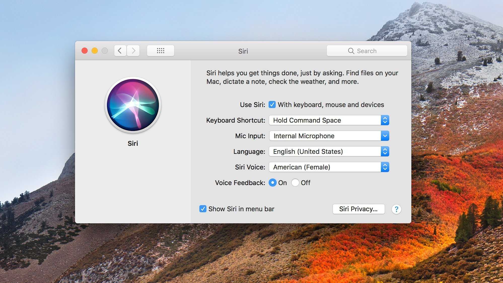 Siri скачать на компьютер windows 7, 10 и macbook
