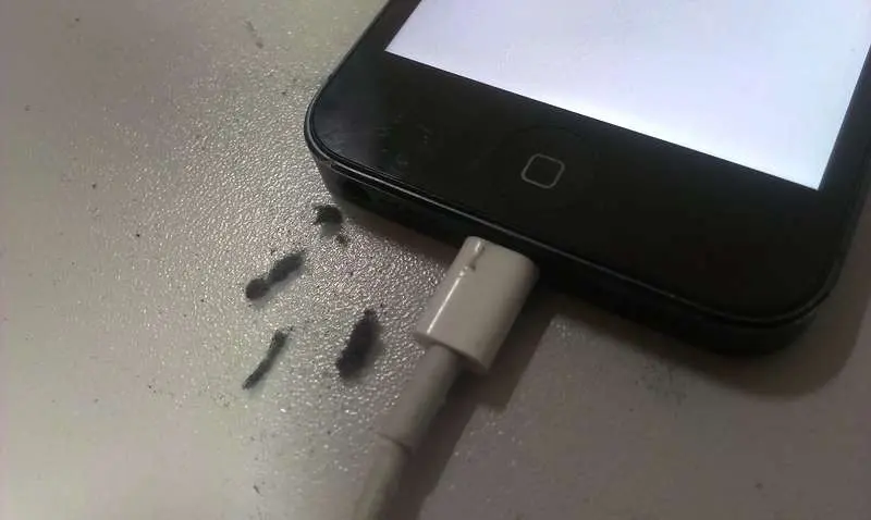 Как починить зарядку от iphone