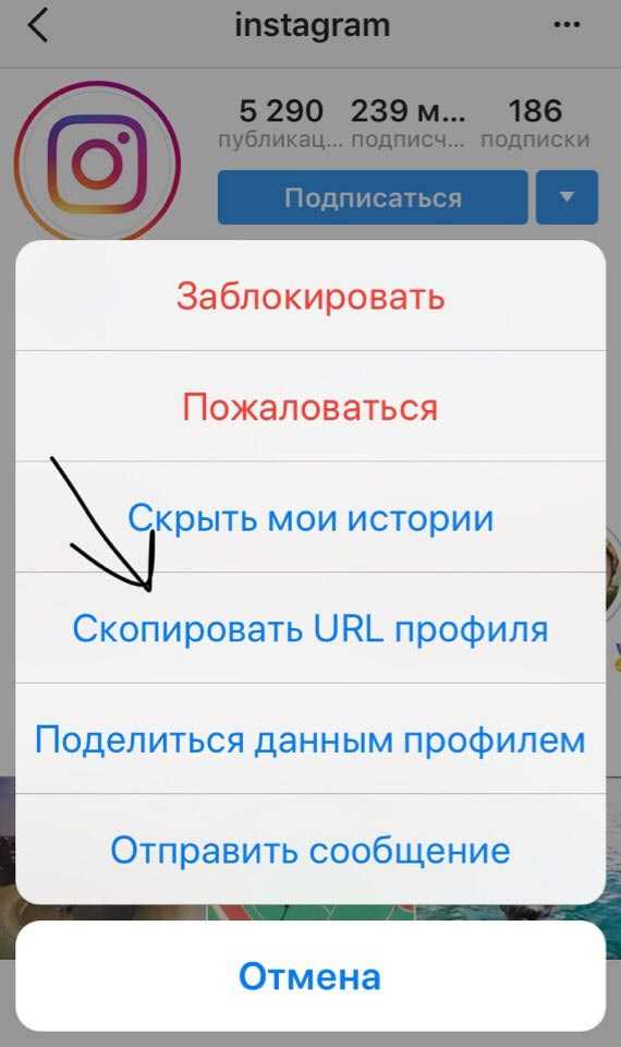 Ссылка на профиль в инстаграм, скопировать и вставить