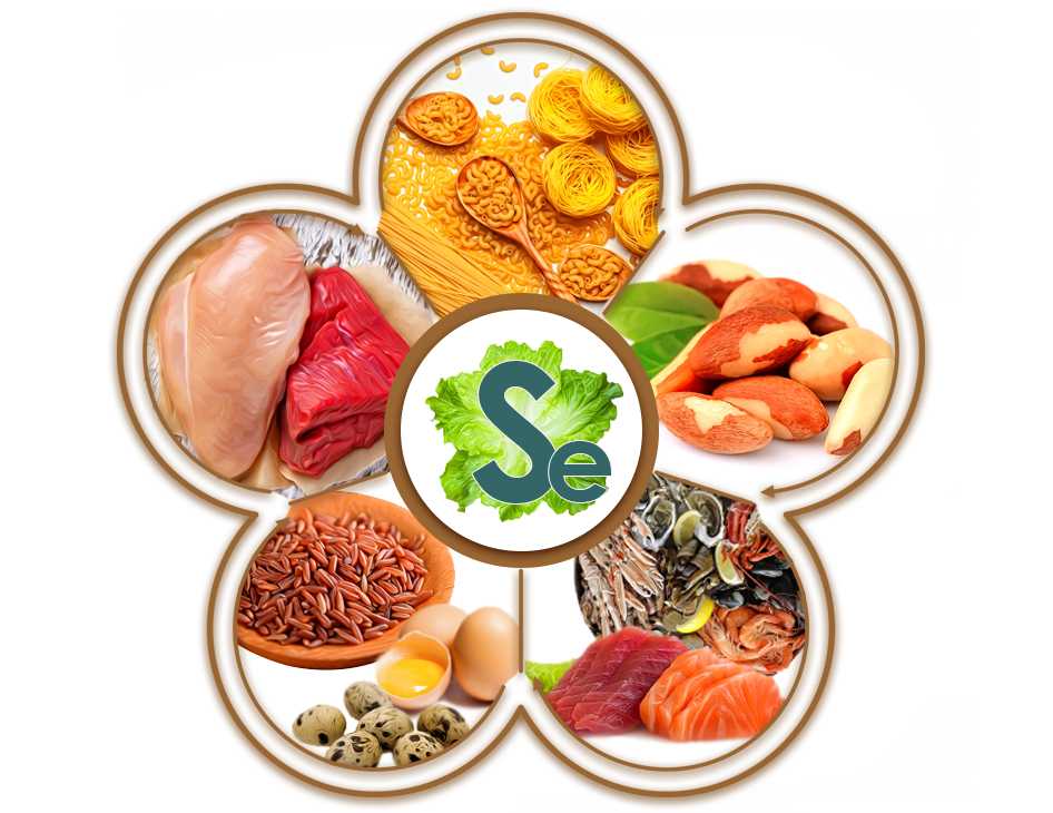 Приложения для проверки качества продуктов | androidlime
