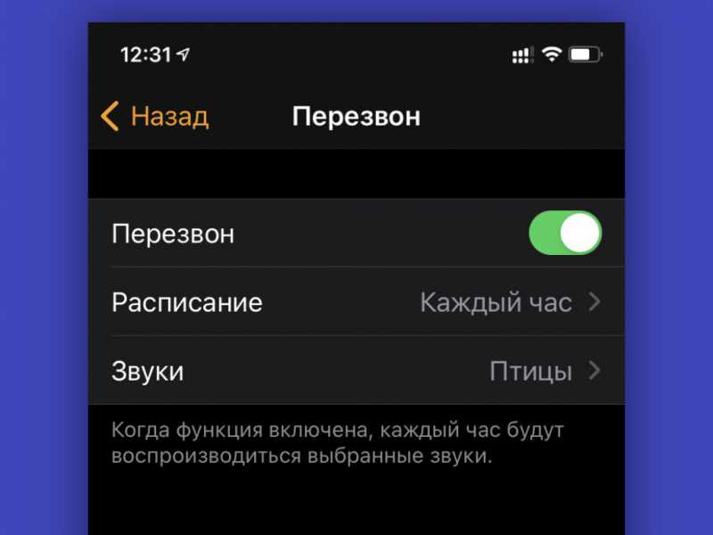 Обзор apple watch se. лучшие умные часы в 2020 году, недорого