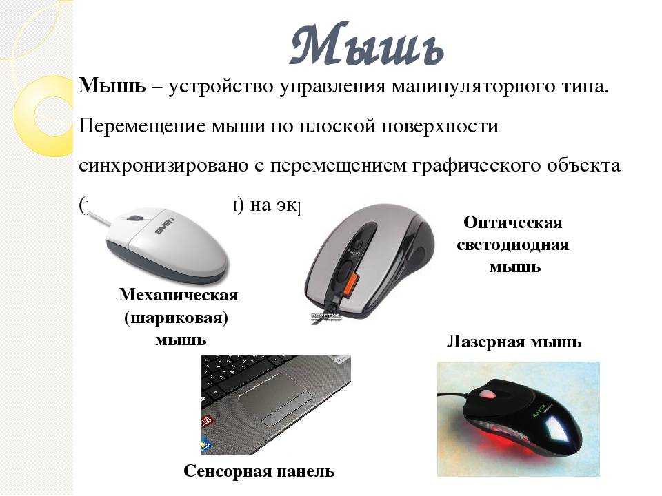 9 лучших эргономичных мышей – рейтинг 2023 | ratingpc.ru