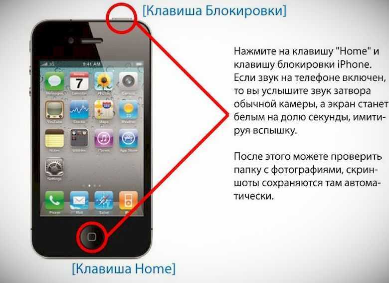 Чем oled-экран отличается от ips. iphone 11 против iphone 11 pro