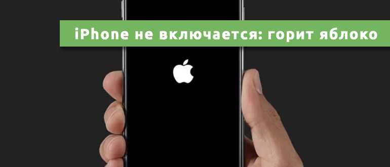 Не включается айфон – 11 основных причин [решено]