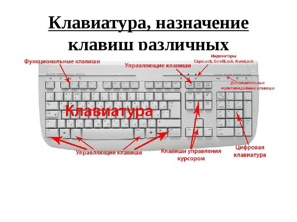 Ножничная клавиатура – что это: виды и механизм работы
